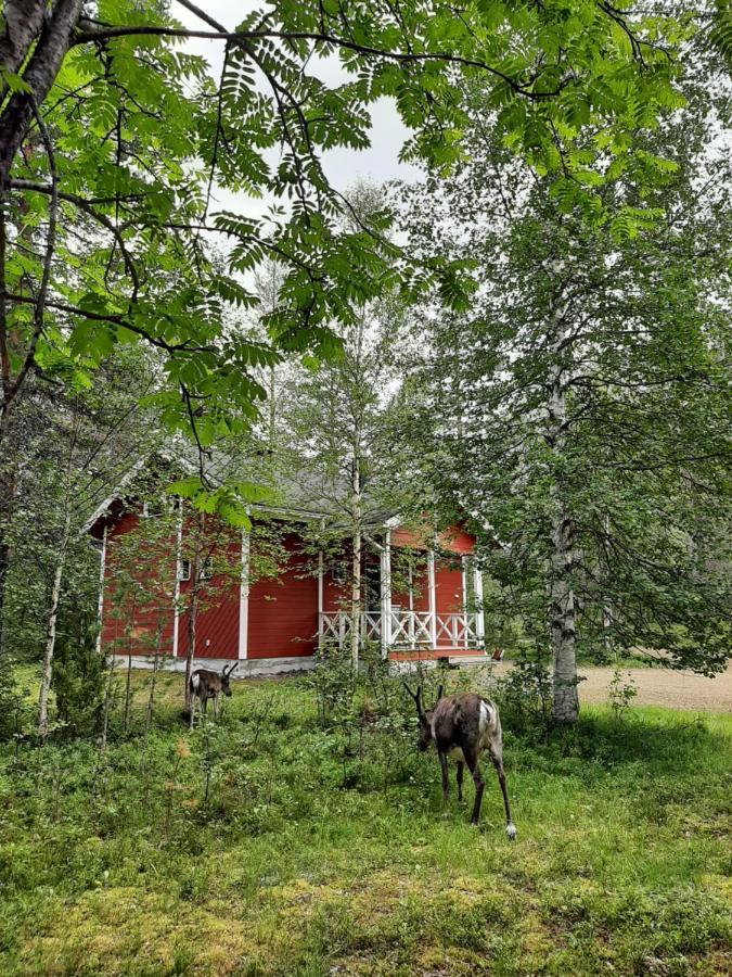 Villa Kuosto Ja Luppo Äkäslompolo Esterno foto