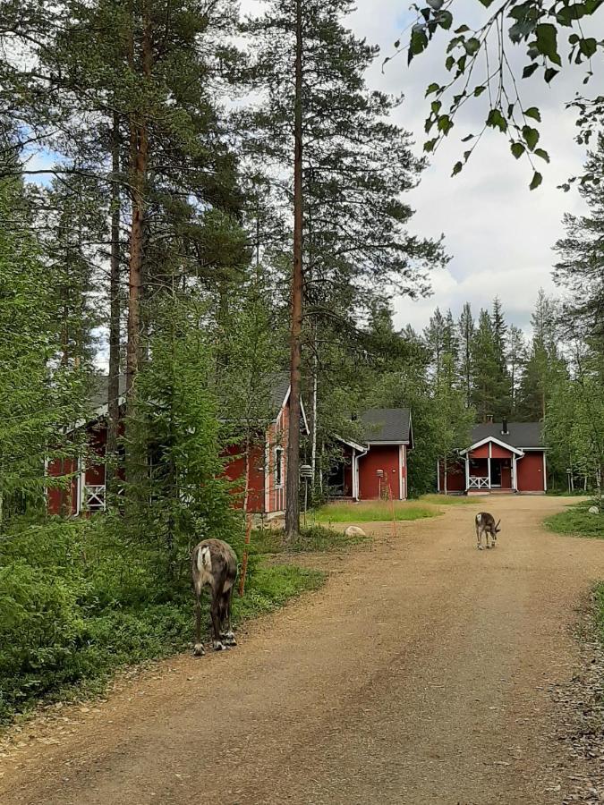 Villa Kuosto Ja Luppo Äkäslompolo Esterno foto