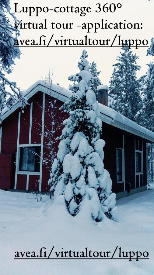 Villa Kuosto Ja Luppo Äkäslompolo Esterno foto